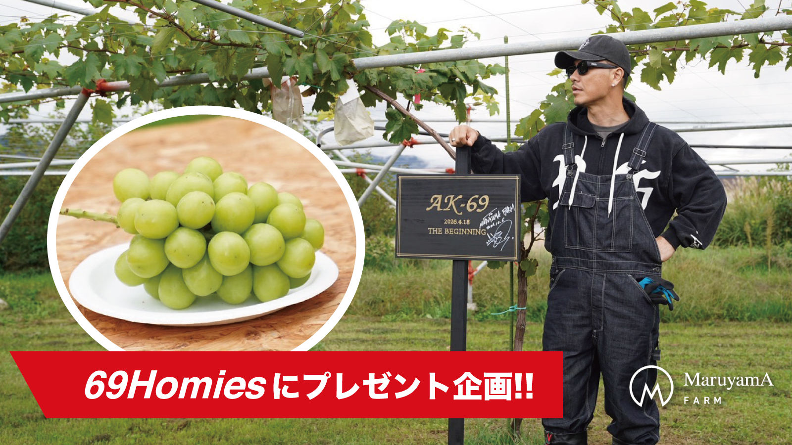 【10/31(土)〆】AKシャインマスカットプレゼント企画実施のお知らせ 